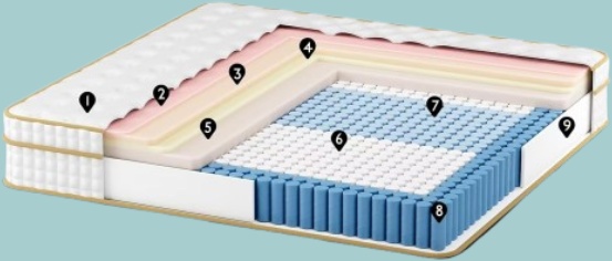 AN Adamant Noyau Features