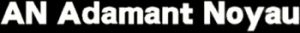 AN Adamant Noyau logo black