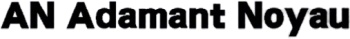 AN Adamant Noyau logo