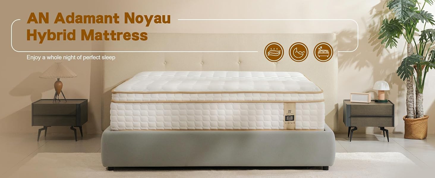 AN Adamant Noyau photo 1