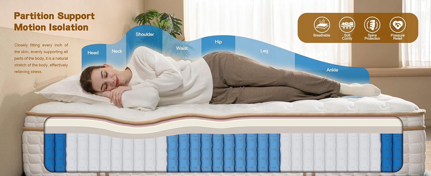 AN Adamant Noyau photo 2