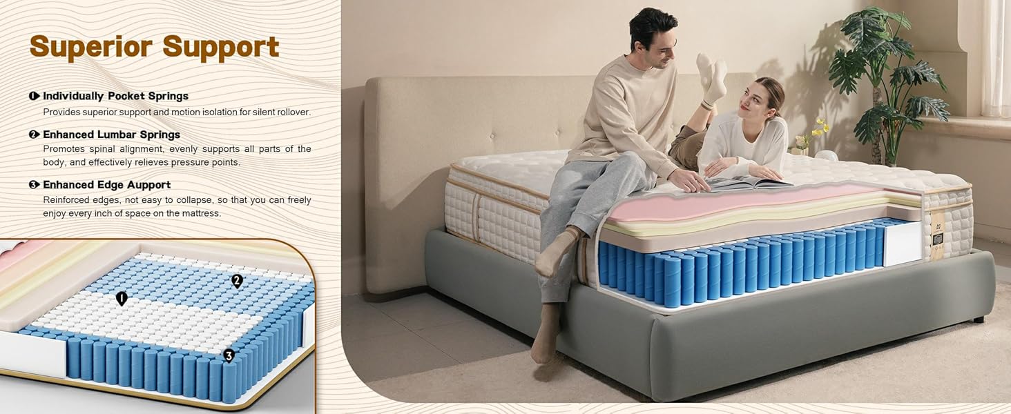 AN Adamant Noyau photo 3