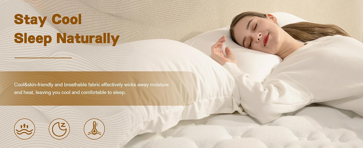 AN Adamant Noyau photo 4