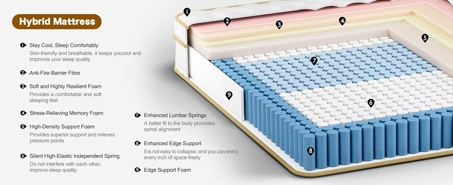 AN Adamant Noyau photo 6