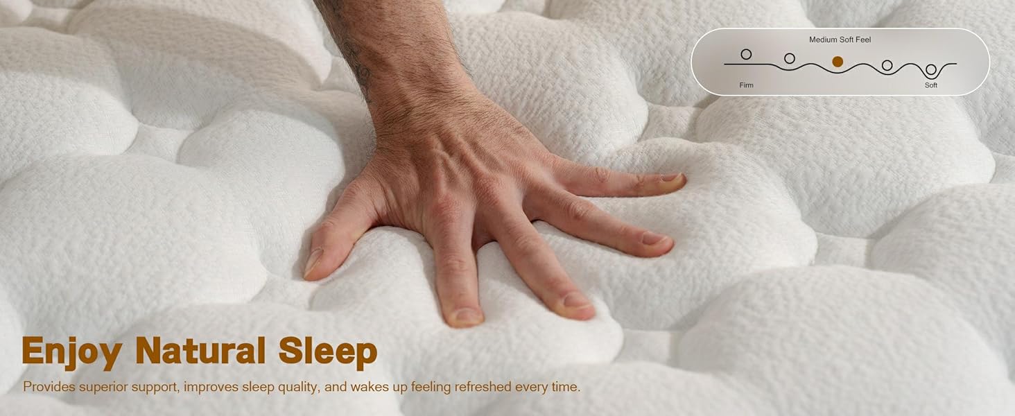 AN Adamant Noyau photo 7